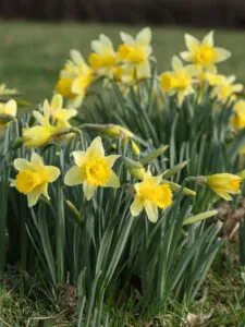 SPRING TIME WILL BOOST THE HOUSING MARKET image