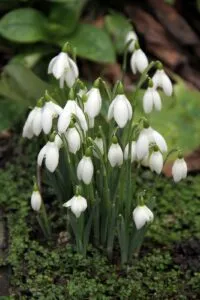 February is all about anticipation image